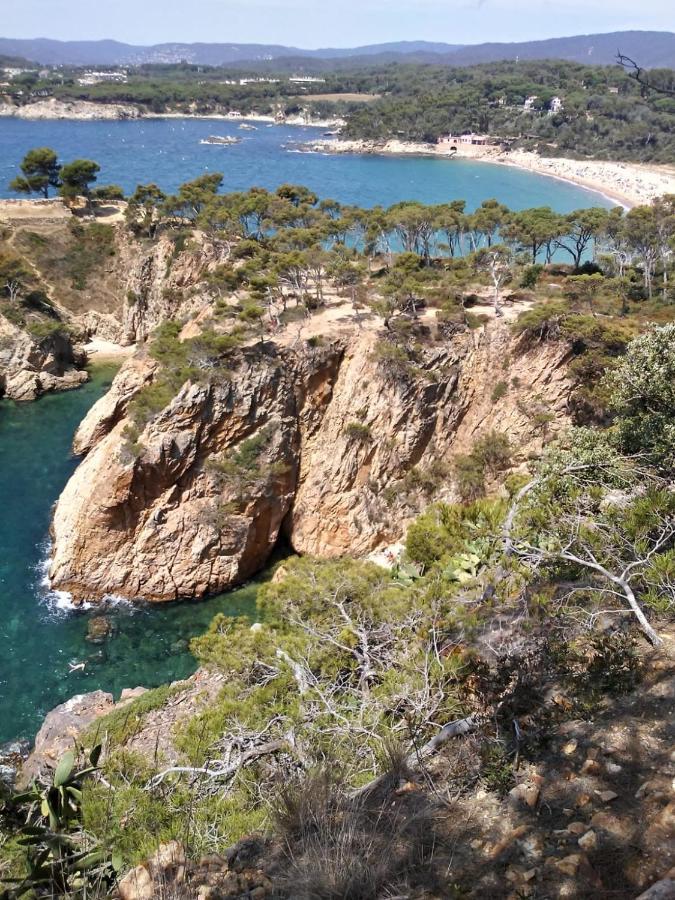 L'Arboc Villa Vall Llobrega Bagian luar foto
