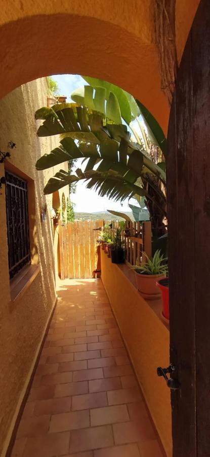 L'Arboc Villa Vall Llobrega Bagian luar foto